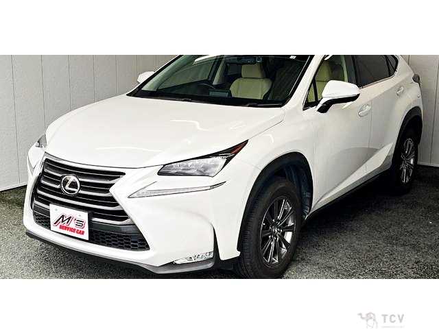 2014 Lexus NX