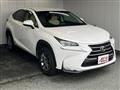 2014 Lexus NX