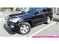 2007 Toyota Land Cruiser