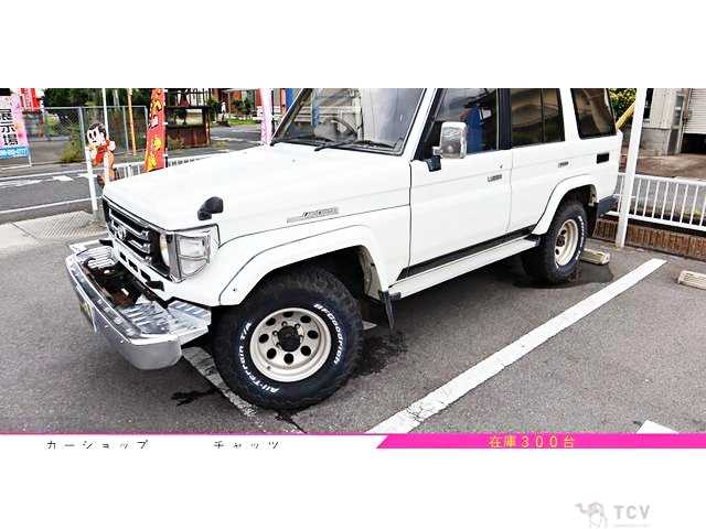 1993 Toyota Land Cruiser