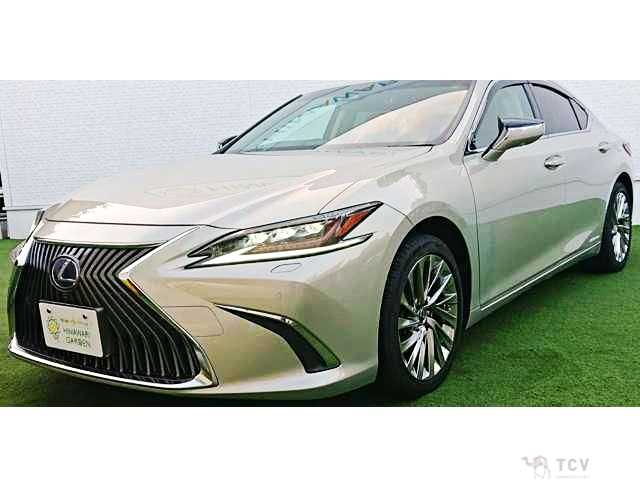 2020 Lexus ES