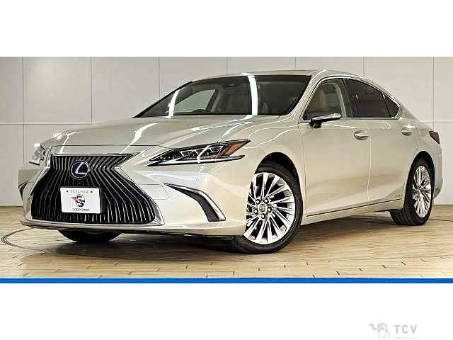 2019 Lexus ES