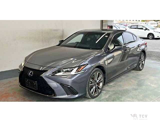2019 Lexus ES