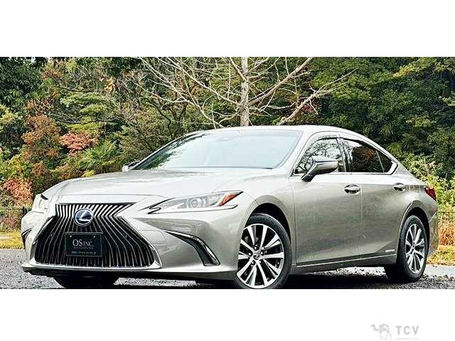 2019 Lexus ES