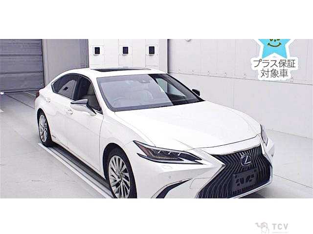 2019 Lexus ES