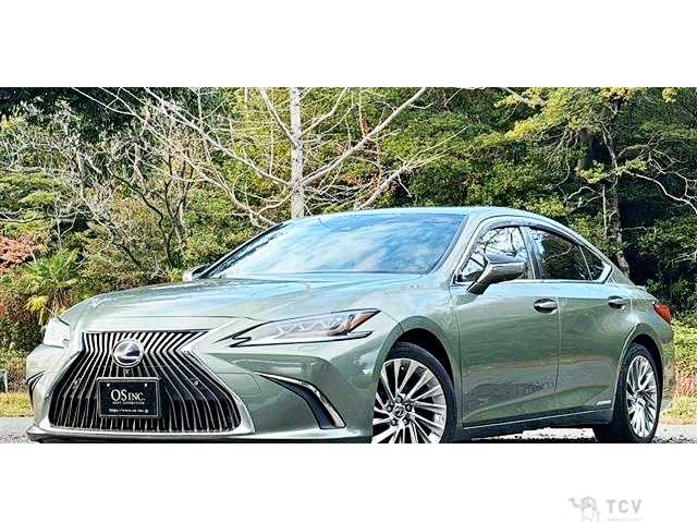 2019 Lexus ES