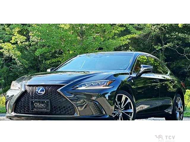 2019 Lexus ES