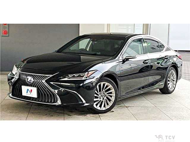 2019 Lexus ES