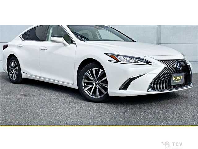 2019 Lexus ES
