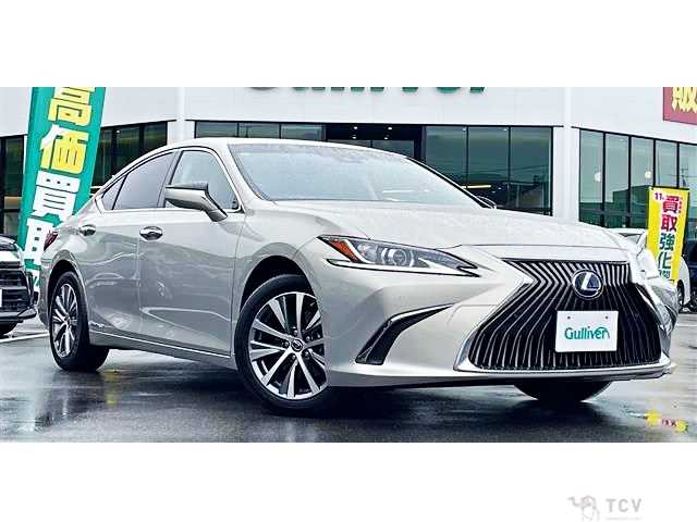 2019 Lexus ES