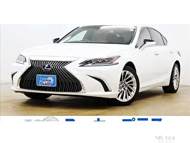 2019 Lexus ES
