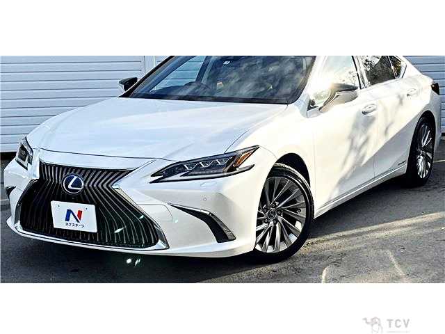 2019 Lexus ES