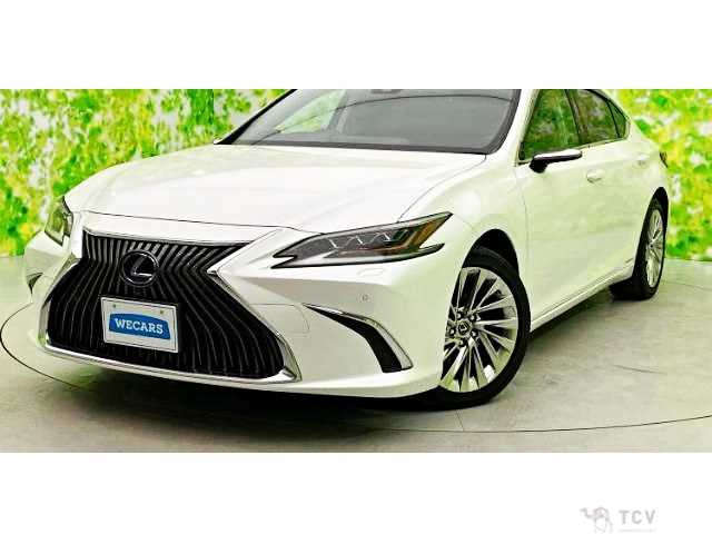 2019 Lexus ES
