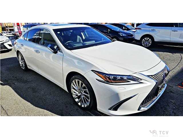 2019 Lexus ES