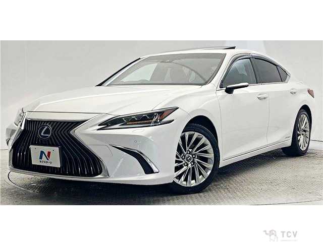 2019 Lexus ES