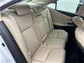 2010 Lexus HS