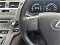 2010 Lexus HS