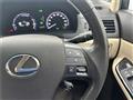 2010 Lexus HS