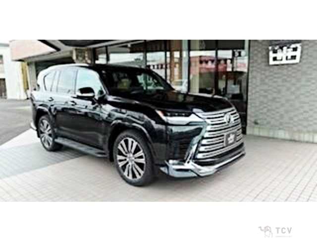 2025 Lexus LX
