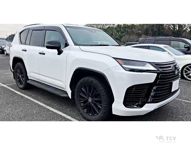 2024 Lexus LX