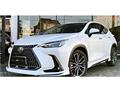 2025 Lexus NX