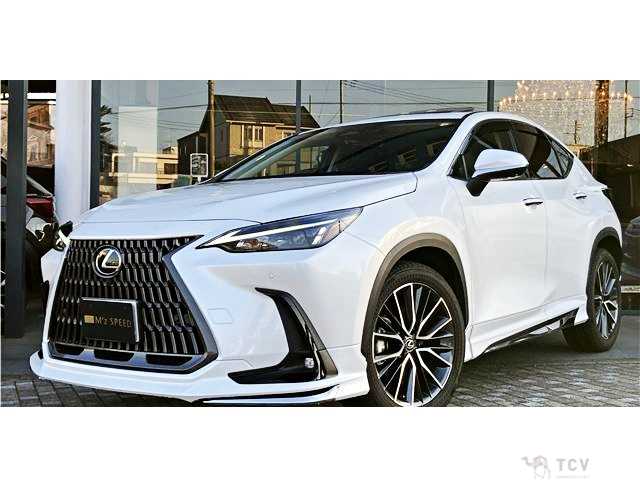 2025 Lexus NX