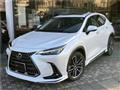 2025 Lexus NX
