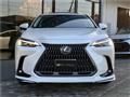2025 Lexus NX