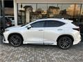 2025 Lexus NX