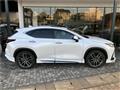 2025 Lexus NX