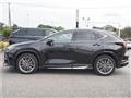2025 Lexus NX