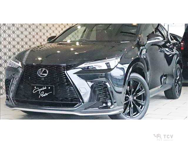 2025 Lexus NX