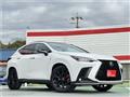 2025 Lexus NX
