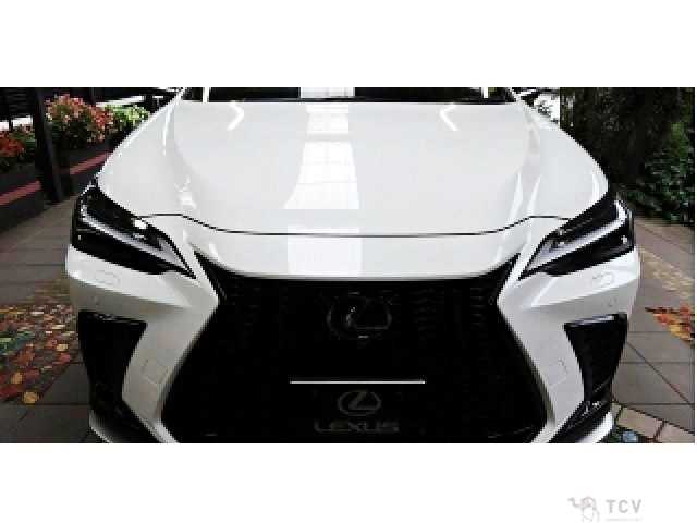 2025 Lexus NX