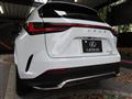 2025 Lexus NX