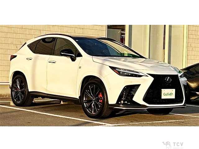 2025 Lexus NX