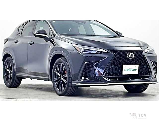 2025 Lexus NX