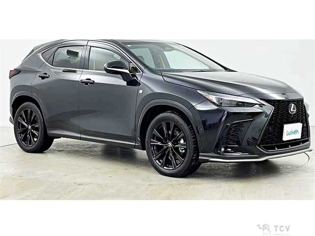 2025 Lexus NX