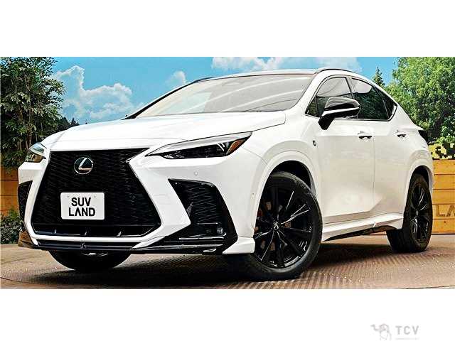 2025 Lexus NX