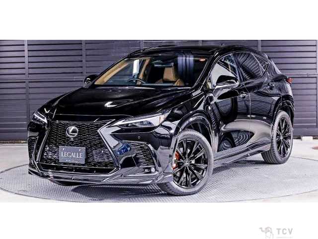 2025 Lexus NX