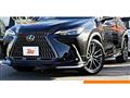 2024 Lexus NX