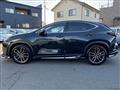 2024 Lexus NX