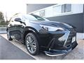 2024 Lexus NX