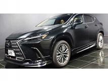 2024 Lexus NX