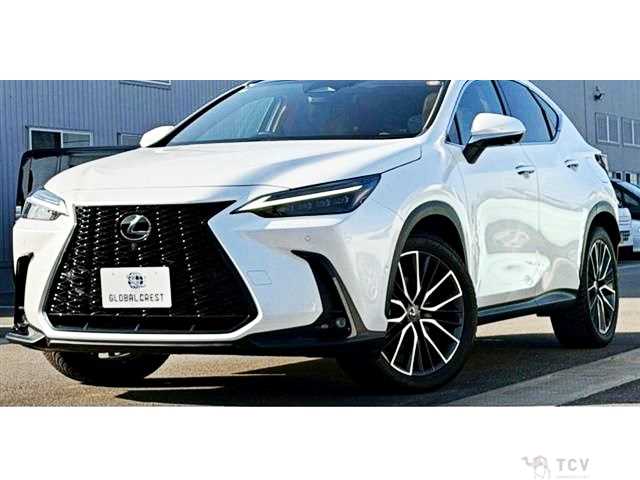 2024 Lexus NX