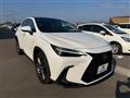 2024 Lexus NX