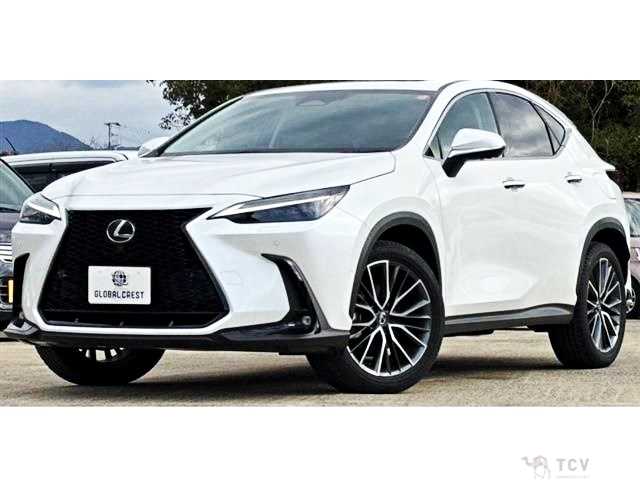 2024 Lexus NX
