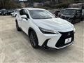 2024 Lexus NX