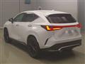2024 Lexus NX