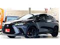 2024 Lexus NX